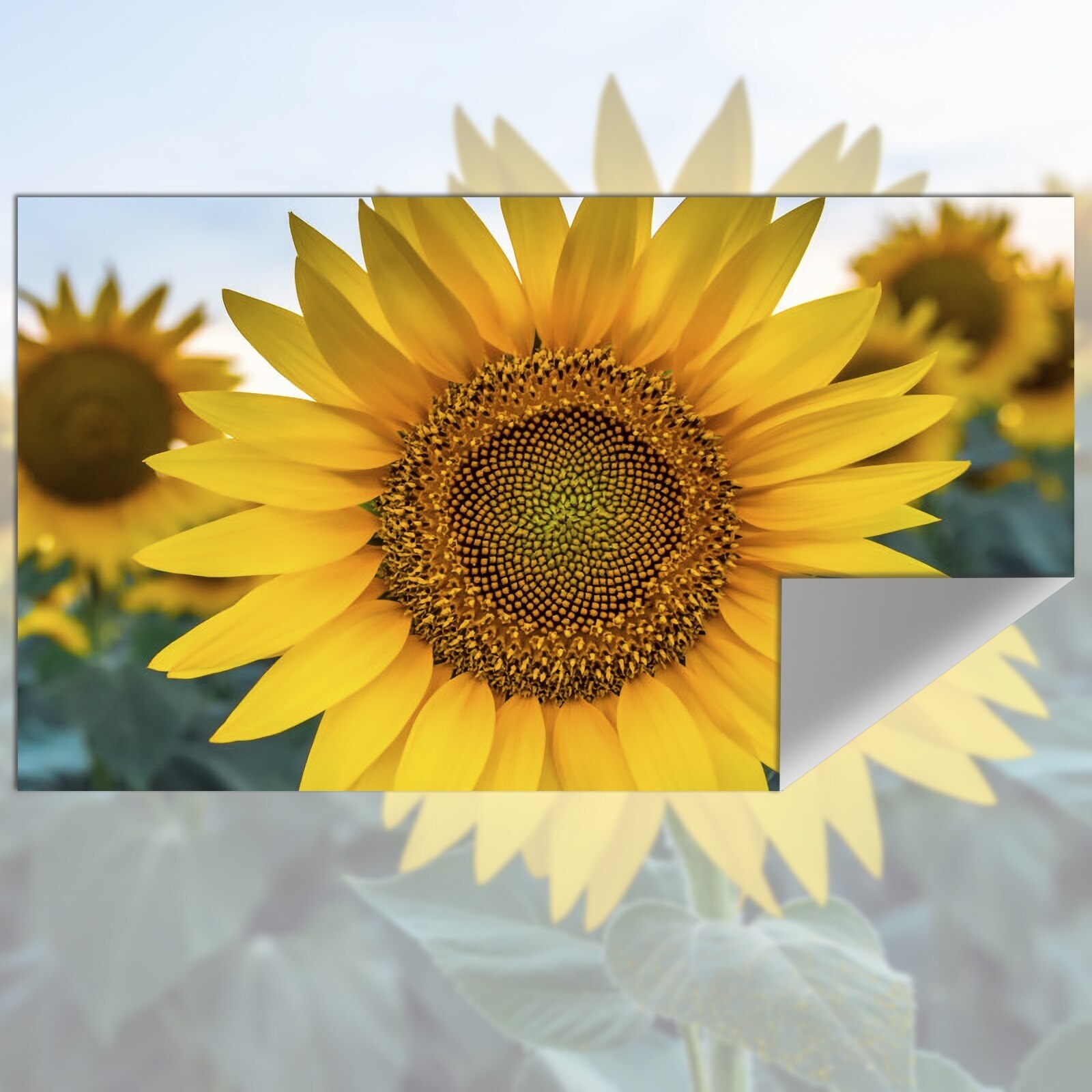 Layar proyeksi kain reflektif  - Projector Screen 100 Inch ulasan dan harga